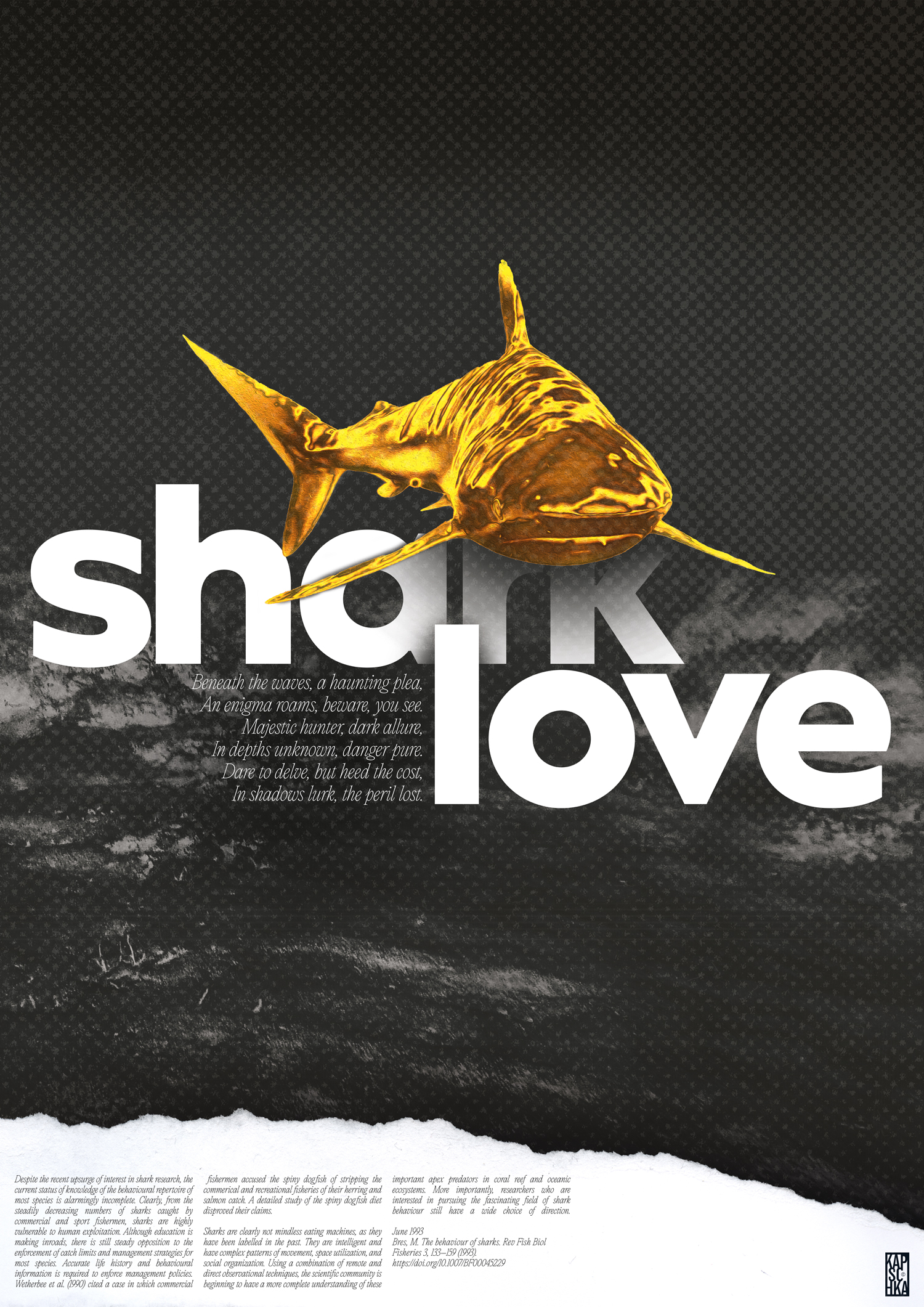 shark-love